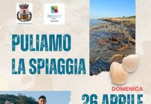 pulizia spiaggia petacciato