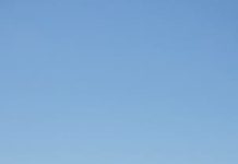 pulizia spiaggia volontari