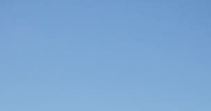 pulizia spiaggia volontari