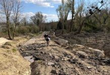 sopralluogo frane isernia