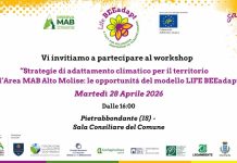 strategie di adattamento climatico workshop
