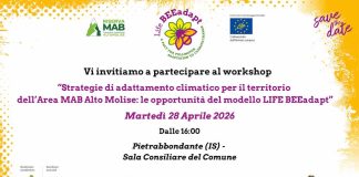 strategie di adattamento climatico workshop