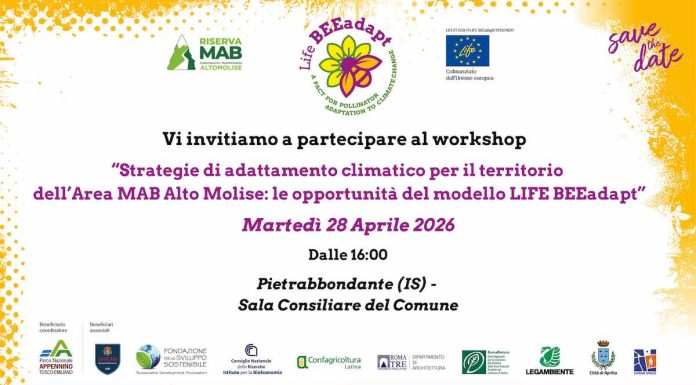 strategie di adattamento climatico workshop