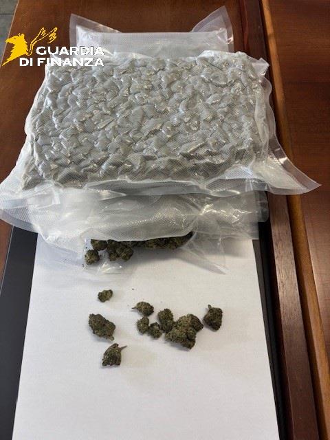 stupefacenti isernia