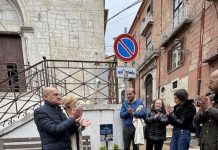 umberto annuario campobasso