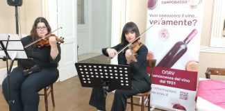 violiniste pizzuto e cimino