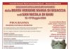 Festa Madonna Montenero di Bisaccia