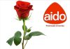 aido isernia