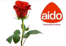 aido isernia