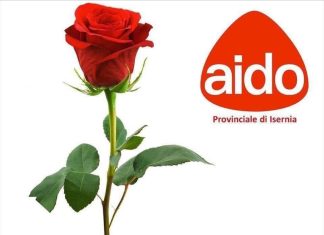 aido isernia