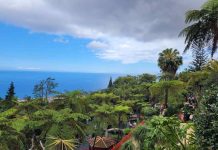 Erasmus+ e competenze socio‑emotive: l’Istituto Alfano‑Perrotta in formazione a Madeira alfano-perrotta esasmus portogallo