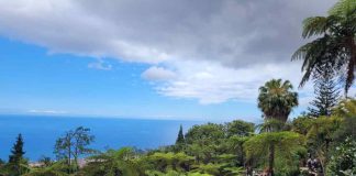 Erasmus+ e competenze socio‑emotive: l’Istituto Alfano‑Perrotta in formazione a Madeira alfano-perrotta esasmus portogallo