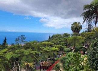 Erasmus+ e competenze socio‑emotive: l’Istituto Alfano‑Perrotta in formazione a Madeira alfano-perrotta esasmus portogallo