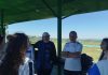 alfano progetto fitav linea verde