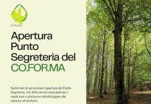 Il Consorzio Forestale Matese apre lo Sportello Unico Forestale apertura sportello consorzio