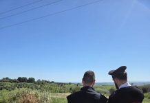 Campobasso, controlli dei Carabinieri contro il caporalato carabinieri contro caporalato