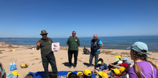 La “discarica blu” a 50 passi dal Fratino: allarme plastica sulla spiaggia di Termoli discarica blu