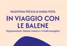 in viaggio con le balene libro