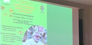 premio zarrilli