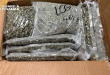sequestro stupefacenti isernia