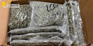 sequestro stupefacenti isernia