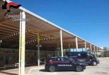 Controlli straordinari nel territorio di Termoli: sequestri di droga, segnalazioni e patenti ritirate sevizio coordinato carabinieri campobasso