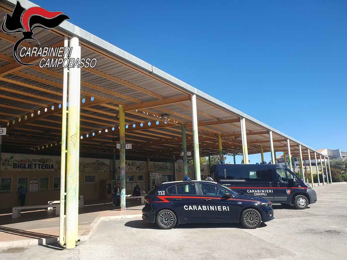 sevizio coordinato carabinieri campobasso