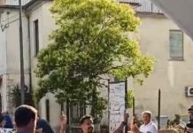 Gerratana non fallisce: vittoria netta al Trofeo San Nicandro arrivo vincitore