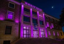 comune termoli viola