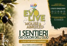 A Montenero di Bisaccia il Forum territoriale dedicato ai Sentieri dei Colori dell’Olio i sentieri dei colori dell'olio-2026