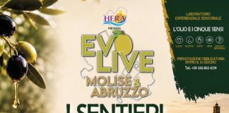 A Montenero di Bisaccia il Forum territoriale dedicato ai Sentieri dei Colori dell’Olio i sentieri dei colori dell'olio-2026
