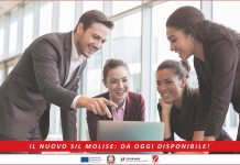 nuovo sistema sil molise