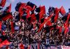 tifosi campobasso