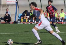 tommaso toro