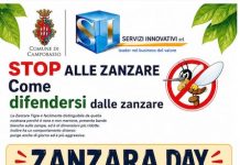 Campobasso, al via la campagna informativa contro le zanzare zanzara day 20 giugno 2026