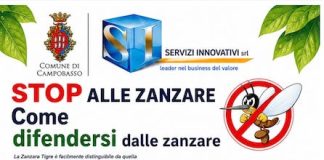 zanzara day 20 giugno 2026