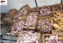 Isernia, sequestrati 400 kg di alimenti non tracciati