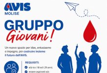 AVIS Molise apre le selezioni per il Gruppo Giovani Regionale gruppo giovani avis molise