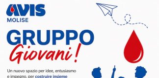 AVIS Molise apre le selezioni per il Gruppo Giovani Regionale gruppo giovani avis molise