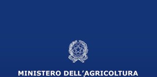 Coltivaitalia: un miliardo per rafforzare l’agricoltura italiana ministero agricoltura