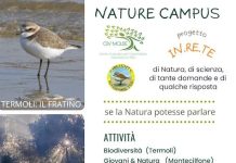 nature campus - nature campus