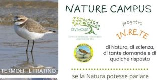 Natur Campus, il Molise chiama i giovani: il progetto IN.RE.TE. apre nuovi percorsi nature campus - nature campus