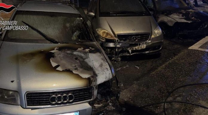 Quattro veicoli incendiati a Termoli: in carcere un 50enne foggiano veicoli incendiati termoli