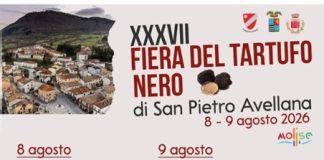 Eventi in Molise l’8 agosto 2026: sagre e altri appuntamenti Fiera tartufo San Pietro Avellana