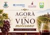 Agorà sul Vino Molisano: a San Martino in Pensilis il confronto tra cantine e territorio agora sul vino molisano