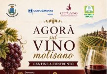 Agorà sul Vino Molisano: a San Martino in Pensilis il confronto tra cantine e territorio agora sul vino molisano