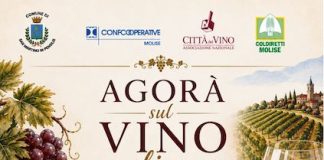 Agorà sul Vino Molisano: a San Martino in Pensilis il confronto tra cantine e territorio agora sul vino molisano