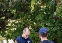 Controlli anti-caporalato nel Basso Molise: sospensioni, sanzioni e tutela dei lavoratori