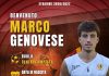 Marco Genovese è un nuovo centrocampista del Termoli Calcio 1920 marco genovese