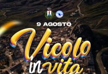 vicolo in vita 2026